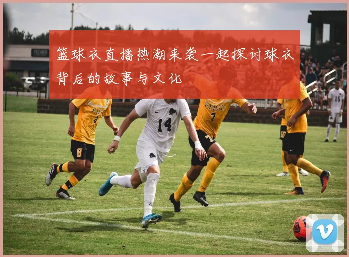 篮球衣直播热潮来袭一起探讨球衣背后的故事与文化