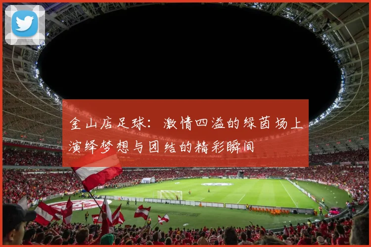 金山店足球：激情四溢的绿茵场上演绎梦想与团结的精彩瞬间