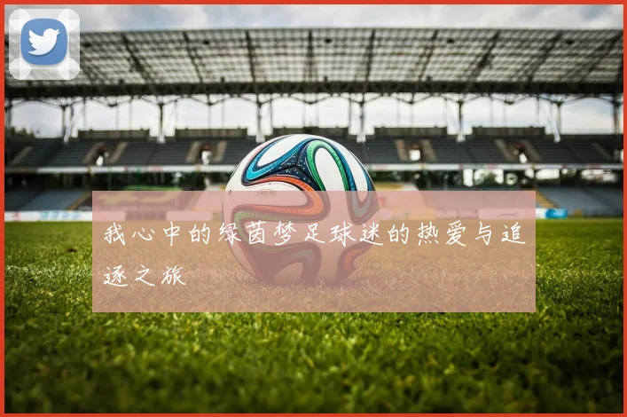 我心中的绿茵梦足球迷的热爱与追逐之旅