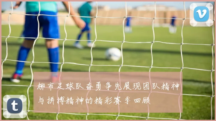 柳市足球队奋勇争先展现团队精神与拼搏精神的精彩赛季回顾