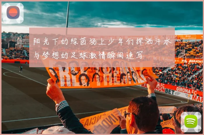 阳光下的绿茵场上少年们挥洒汗水与梦想的足球激情瞬间速写