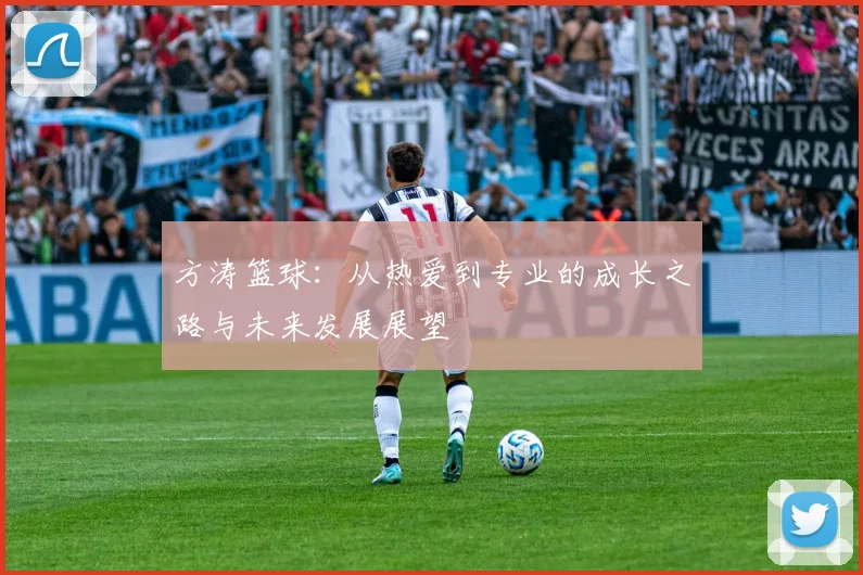 方涛篮球：从热爱到专业的成长之路与未来发展展望
