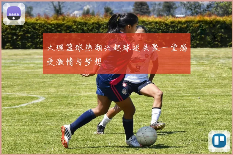 大理篮球热潮兴起球迷共聚一堂感受激情与梦想